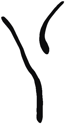 Image of the occurrence